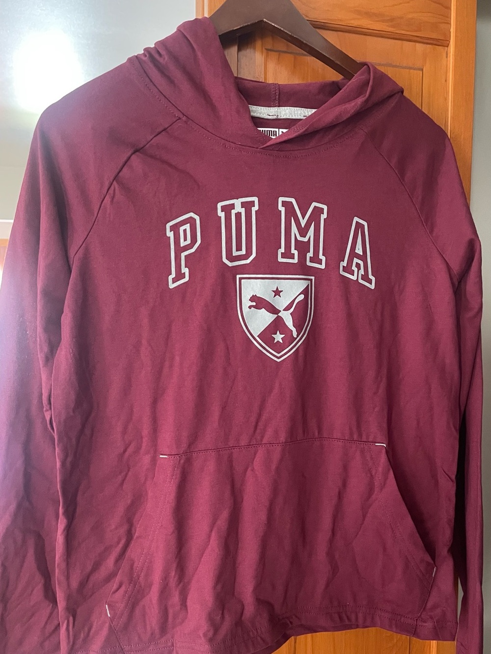 PUMA kids Maroon Hooded Shirt